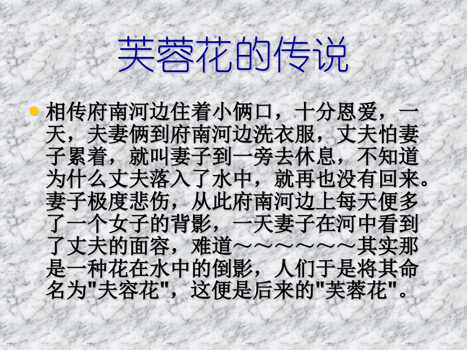 芙蓉花的传说精.pptx_第1页