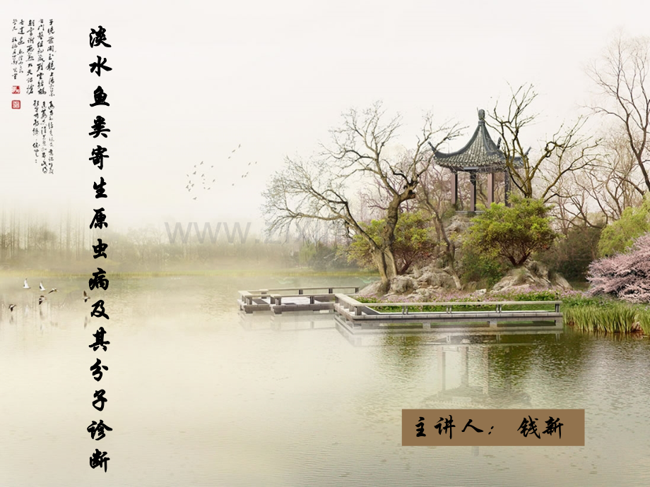 淡水鱼类寄生原虫病跟其分子诊断.pptx_第1页