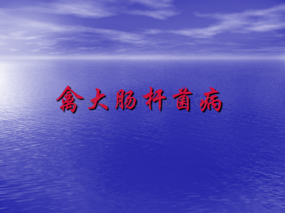 禽大肠杆菌病1.pptx_第1页