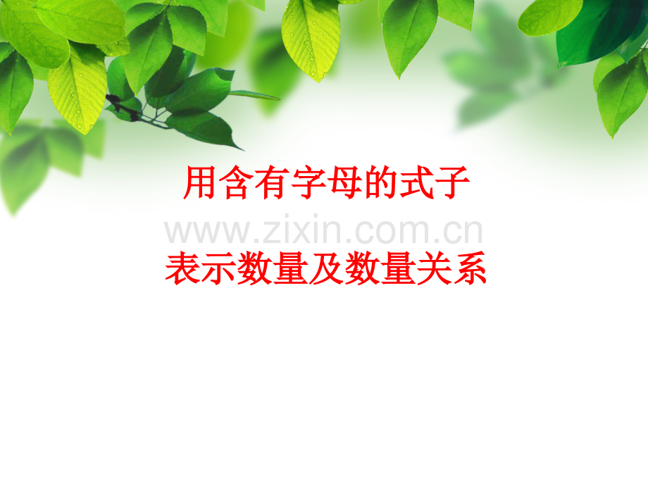 用含有字母的式子表示数量及数量关系课件.pptx_第1页