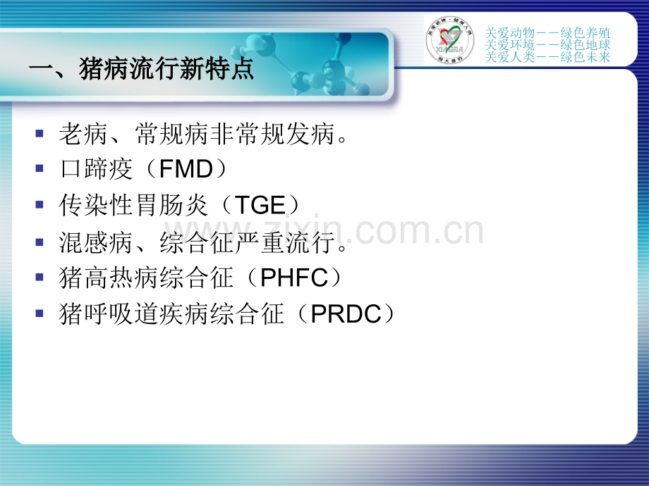 猪病防治总结唐人神.pptx_第1页