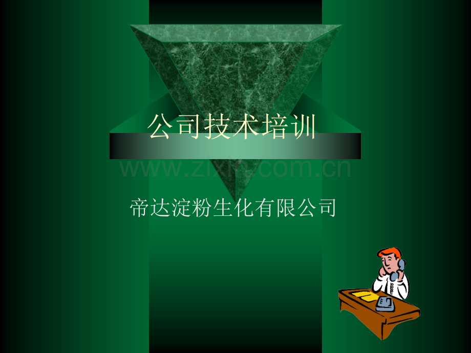 淀粉与变性淀粉.pptx_第1页