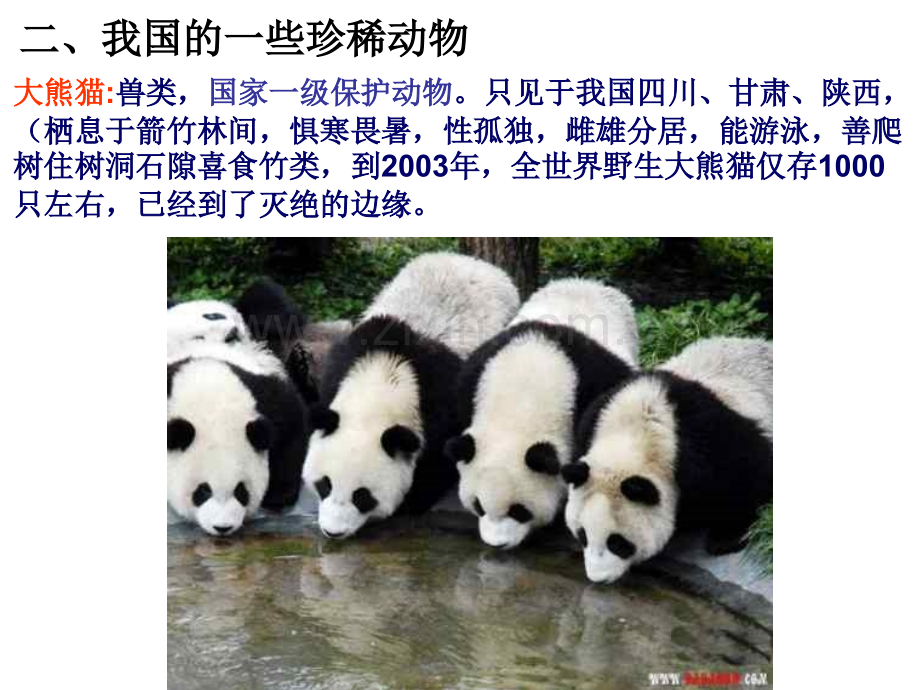 粤教版小学六年级科学下册保护生物资源.pptx_第1页