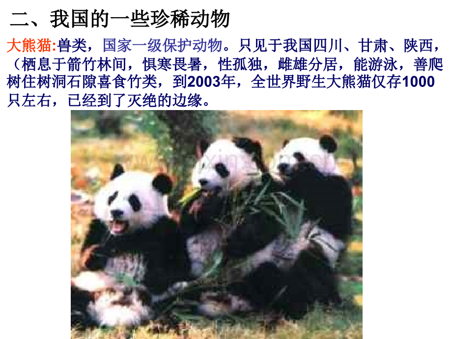 粤教版小学六年级科学下册保护生物资源.pptx_第2页