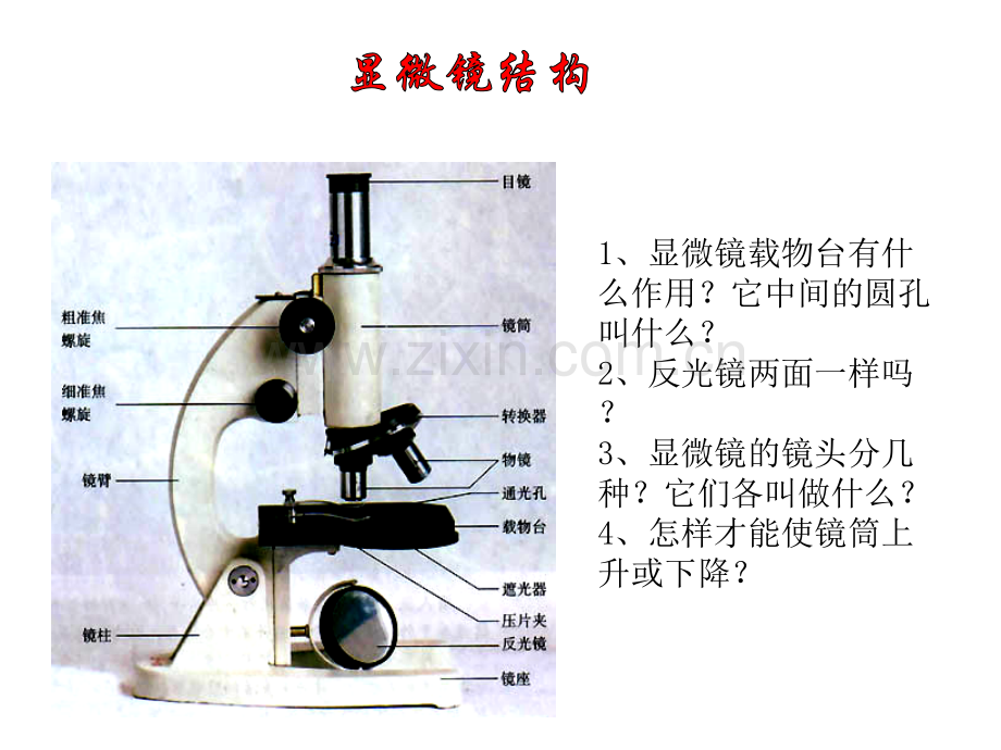 显微镜使用方法用.pptx_第2页
