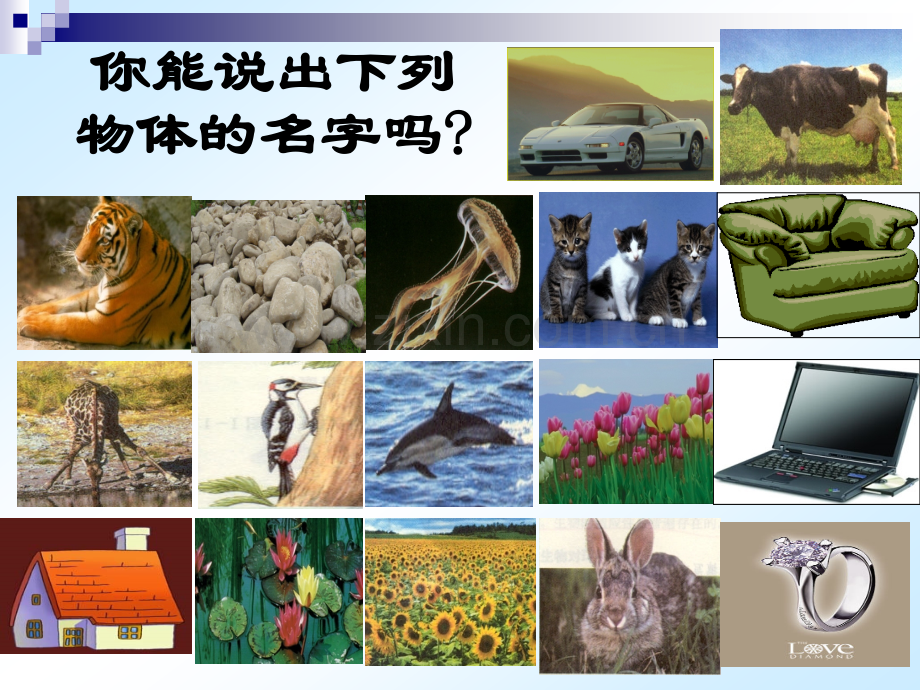 浙教版七年级上科学生物与非生物.pptx_第2页