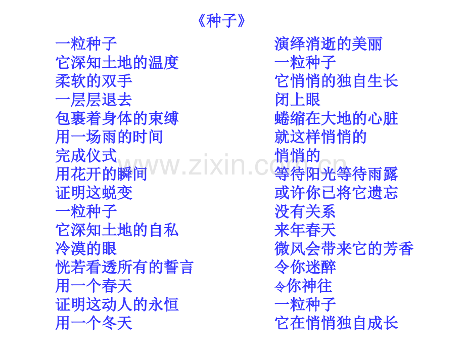 种子贴画.pptx_第1页