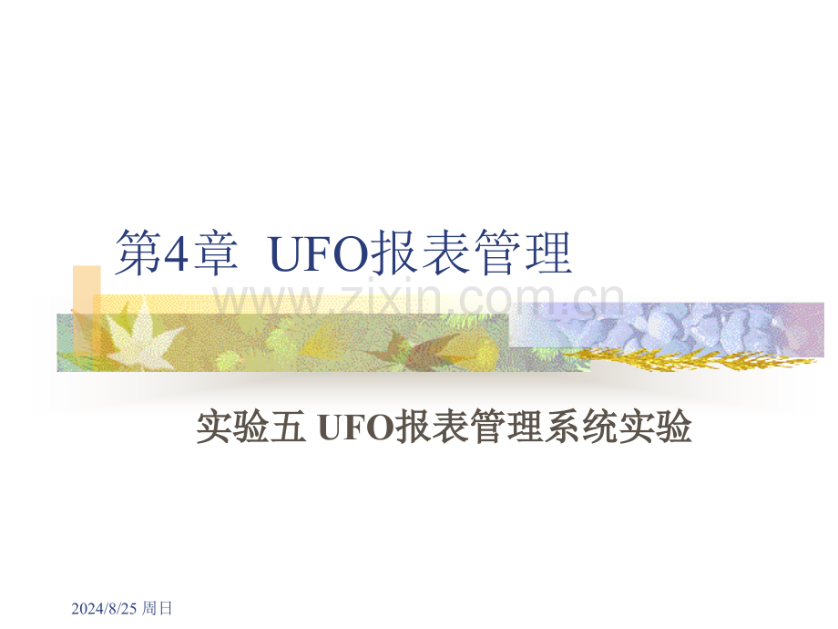 用友报表日常操作.pptx_第1页