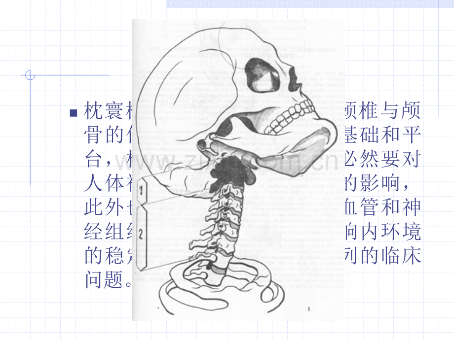 枕寰枢复合关节疾病推拿治疗.pptx_第1页