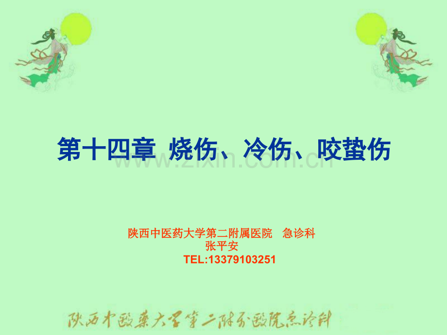 烧伤冷伤咬蛰伤.pptx_第1页