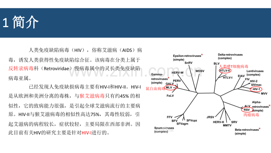 人体免疫缺陷病毒HIV--医学课件.pptx_第2页