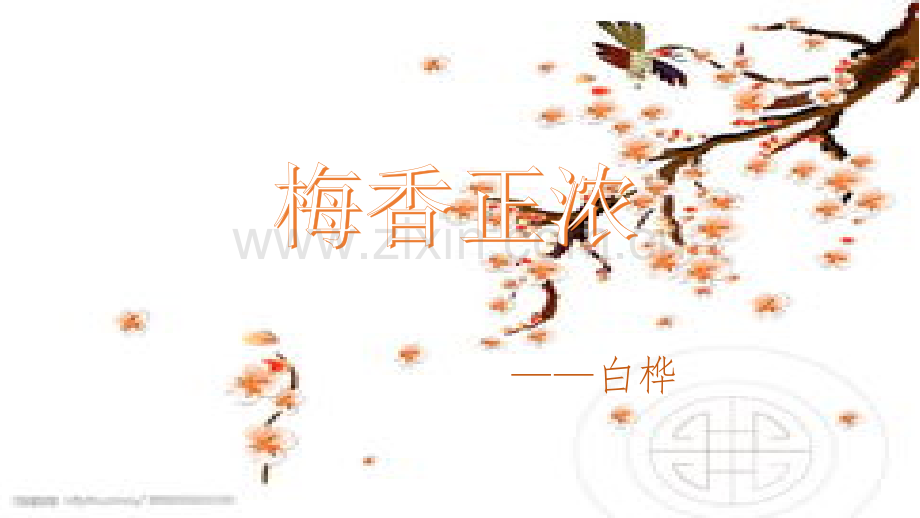 梅香正浓-.pptx_第1页