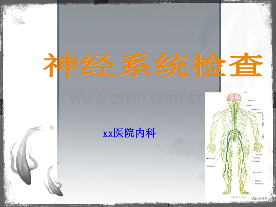 神经系统体查.pptx_第1页