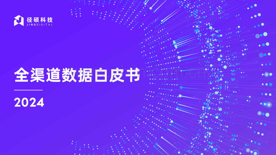 2024全渠道数据白皮书.pdf_第1页
