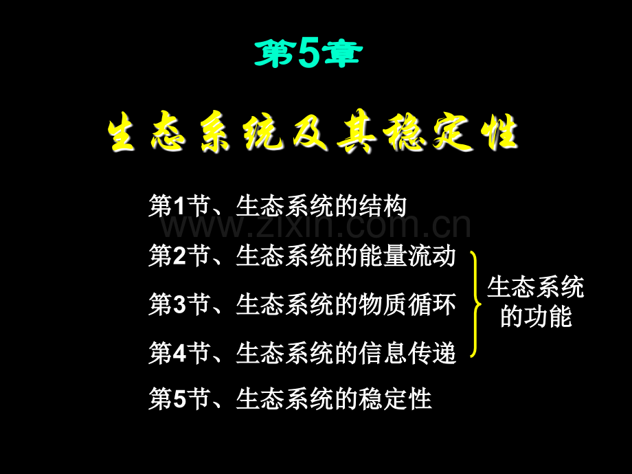 生态系统及其稳定性复习11.pptx_第1页
