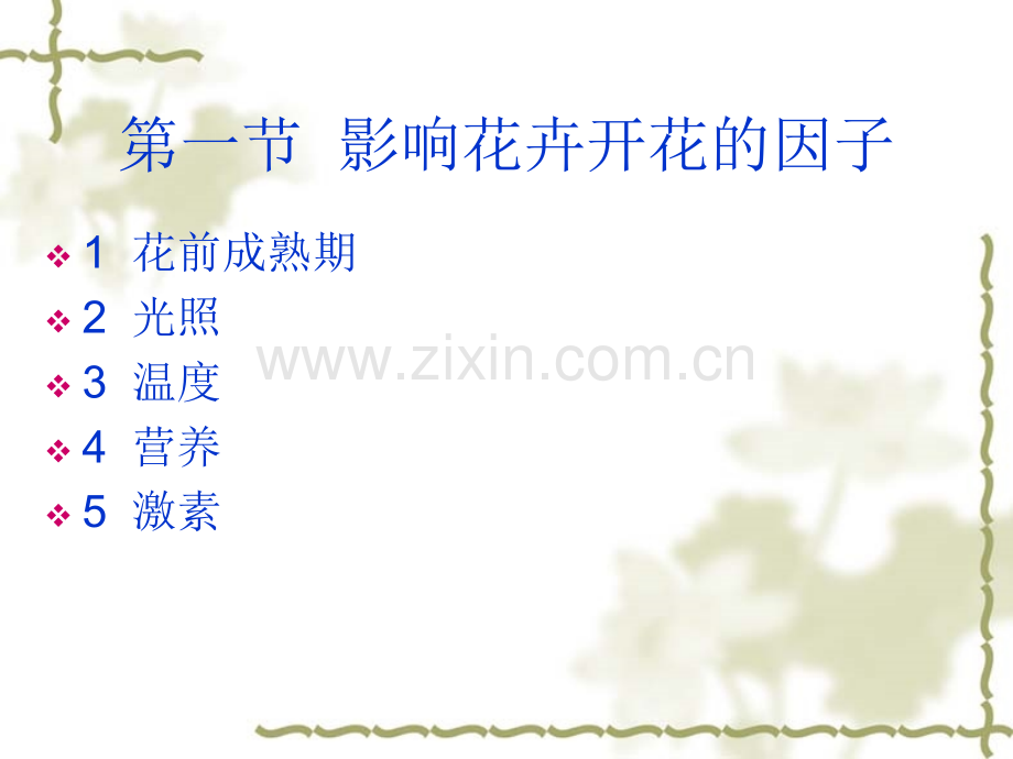 花卉的花期简略版.pptx_第2页
