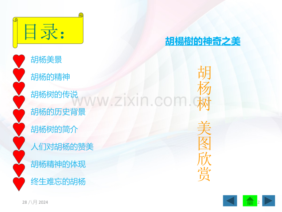 设计胡杨精神.pptx_第2页