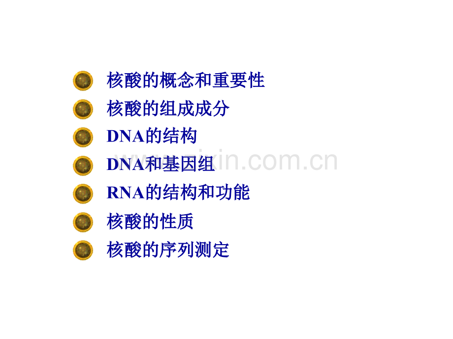 第二章+核酸化学.pptx_第2页