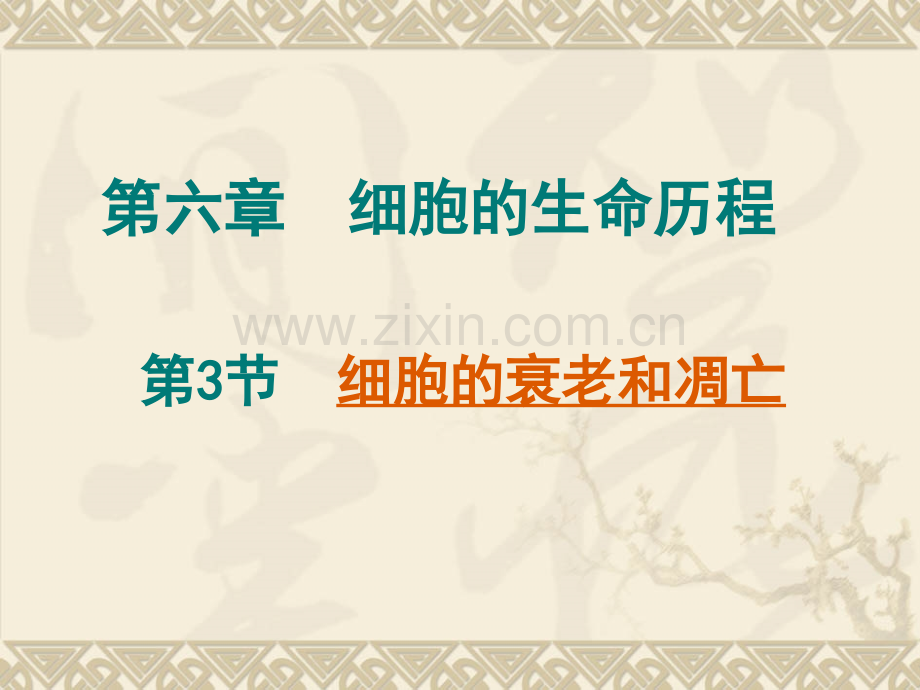 细胞的衰老和凋亡-课件.pptx_第1页
