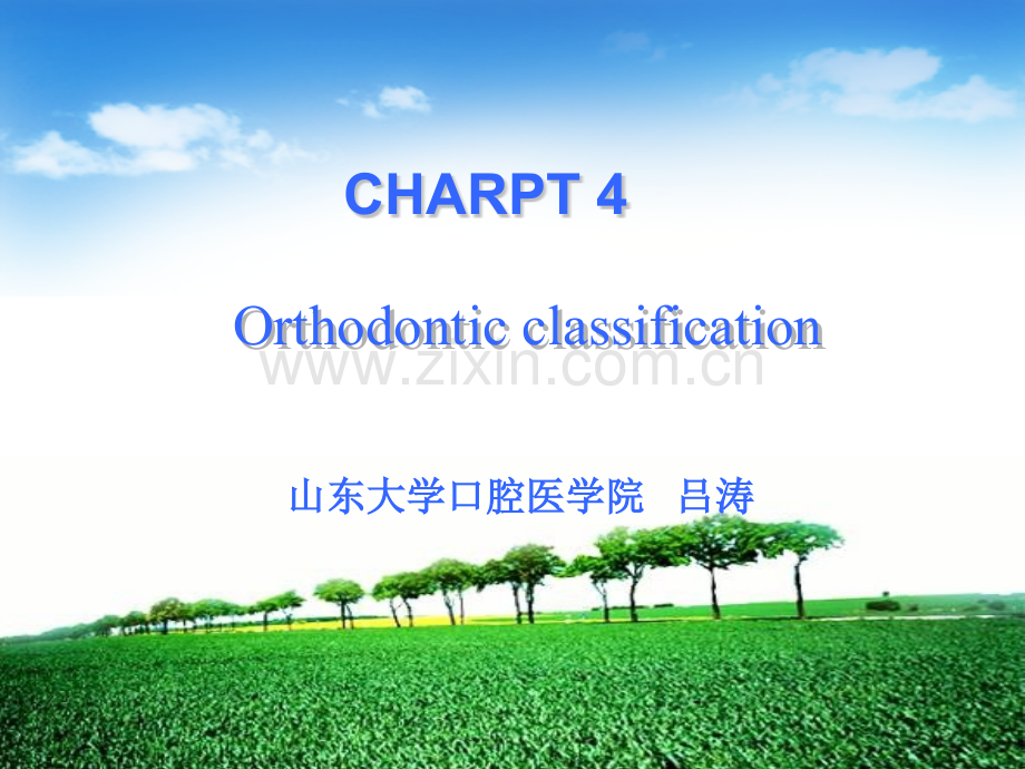 错合分类山东大学.pptx_第1页