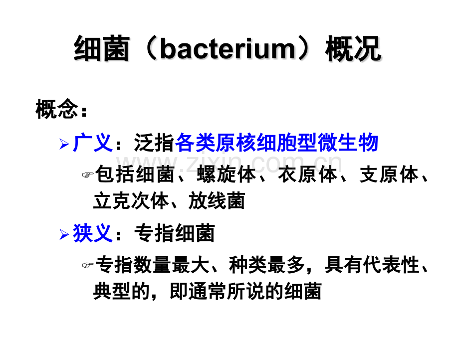 细菌学概述授课.pptx_第1页