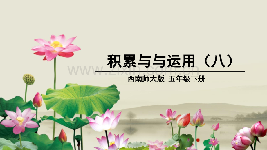 积累与运用八.pptx_第1页