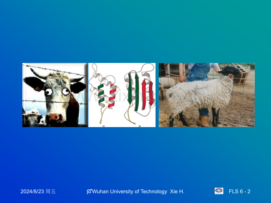 生命科学前沿讲座.pptx_第2页
