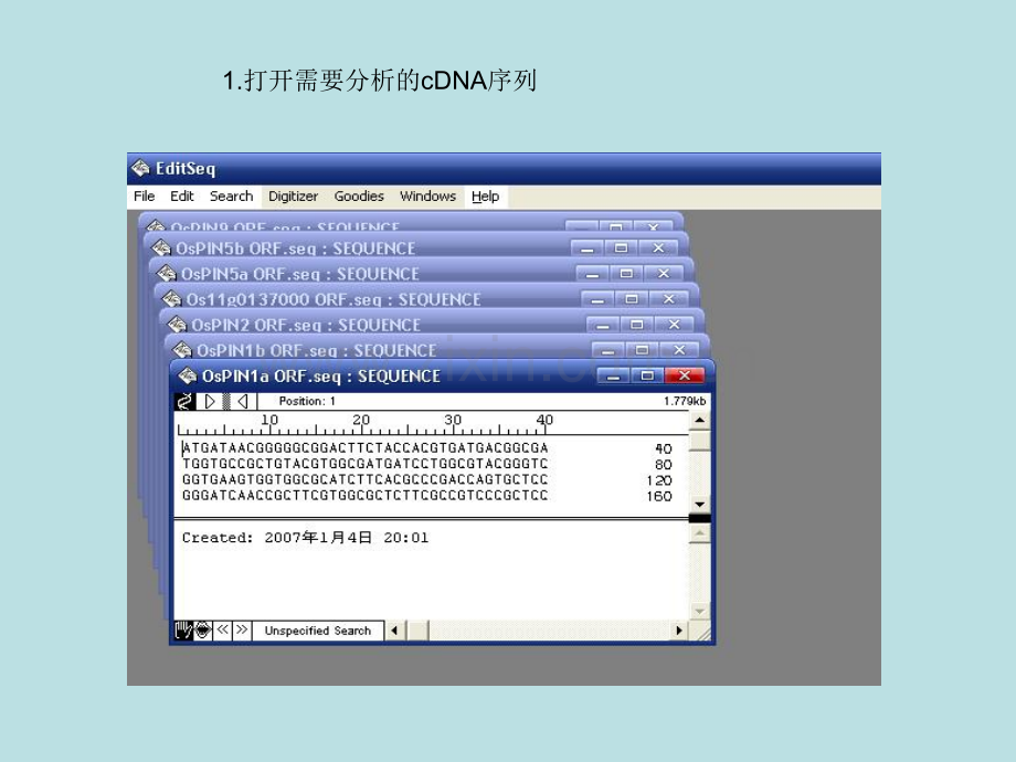 进化树的制作过程.pptx_第2页