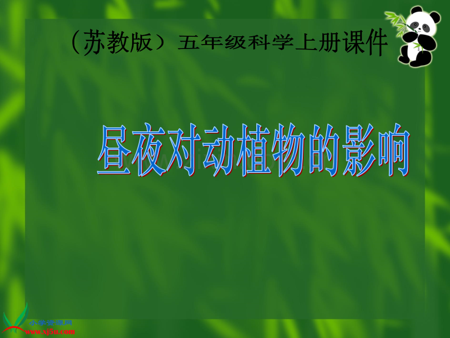 苏教版小学科学五年级上册昼夜对动植物的影响.pptx_第1页