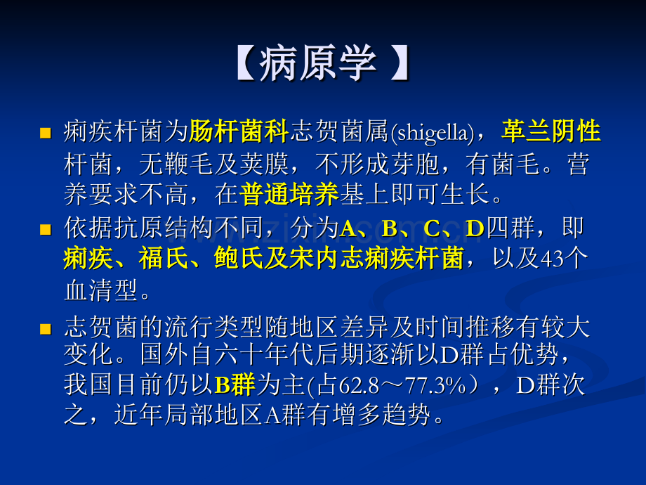 细菌性痢疾医学PPT课件.pptx_第2页