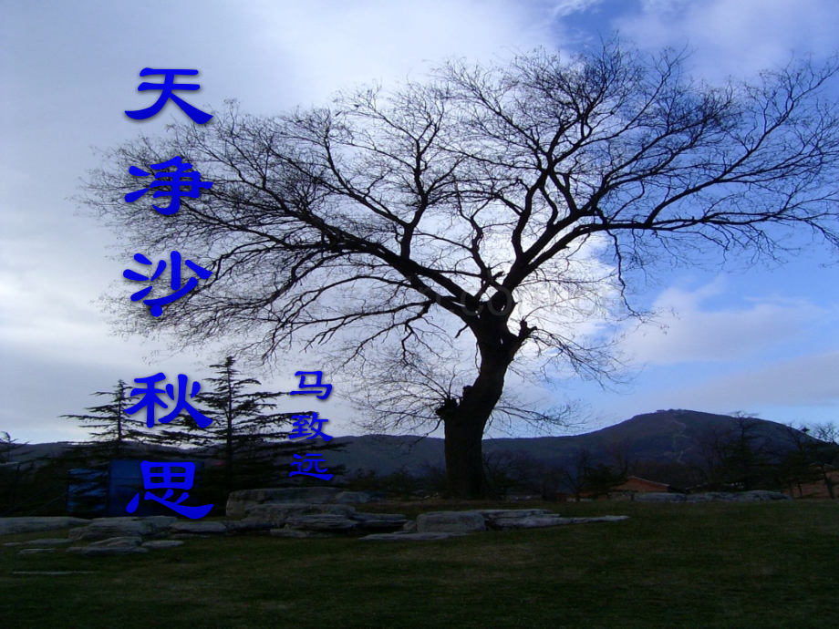 秋思执行.pptx_第1页