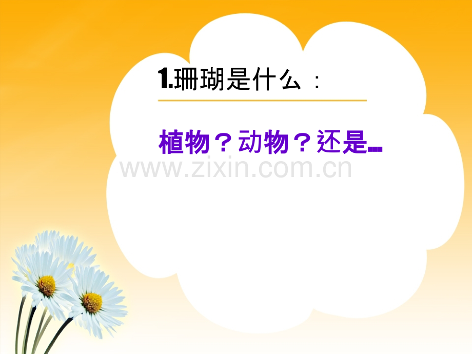 珊瑚的分布.pptx_第1页