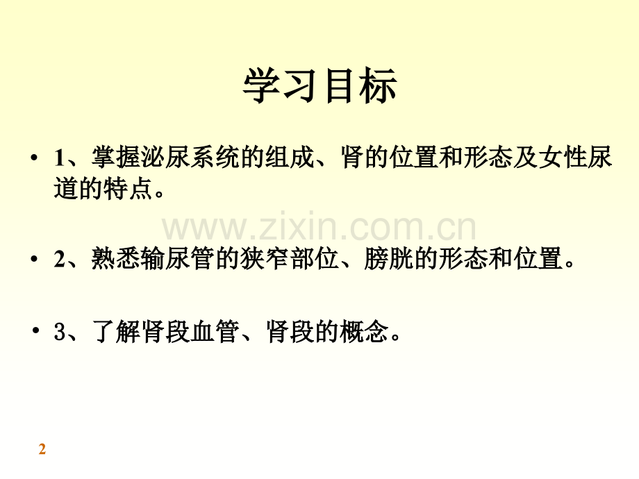 泌尿系统学习.pptx_第2页