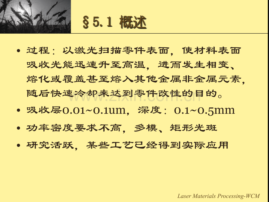 激光表面处理.pptx_第2页