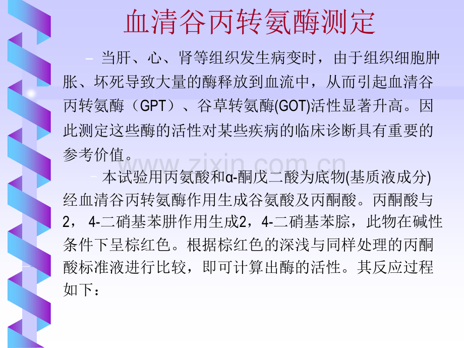 浙江大学生物化学实验甲血清谷丙转氨酶测定King氏法.pptx_第2页