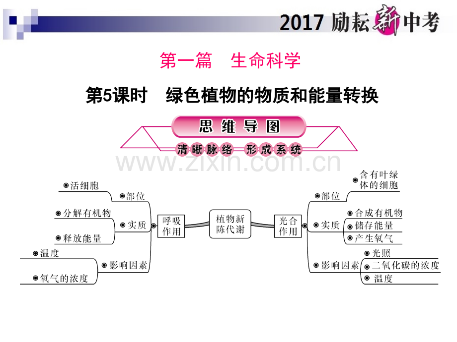 第5课时-绿色植物的物质和能量转换.pptx_第1页