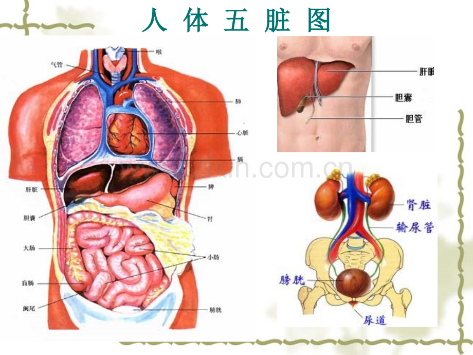 河南省肝病医院.pptx_第2页