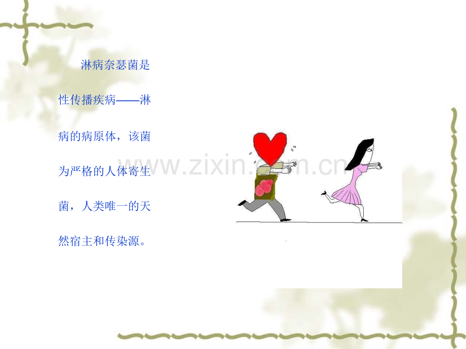 淋病奈瑟菌的分类与鉴定.pptx_第2页