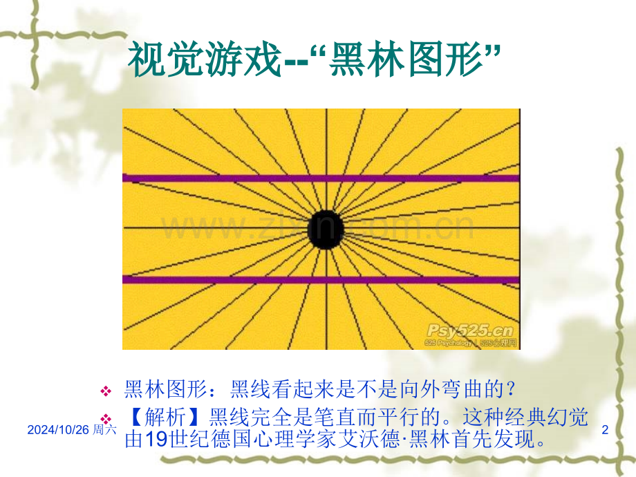 错觉幻觉心理图片概要.pptx_第2页