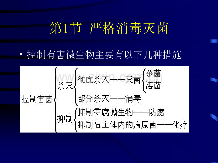 直投式酸乳发酵剂.pptx_第2页