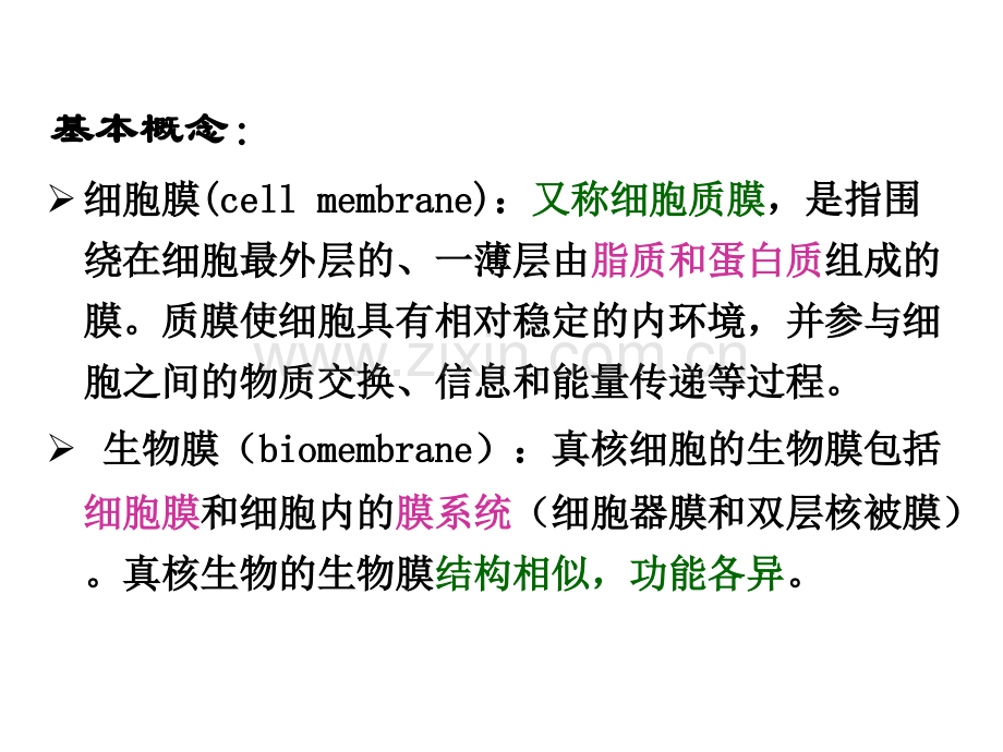 细胞质膜与细胞连接.pptx_第2页