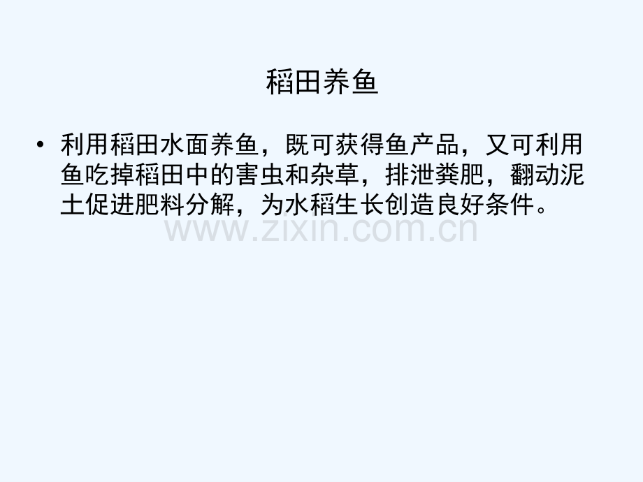 稻田养鱼技术推广.pptx_第1页