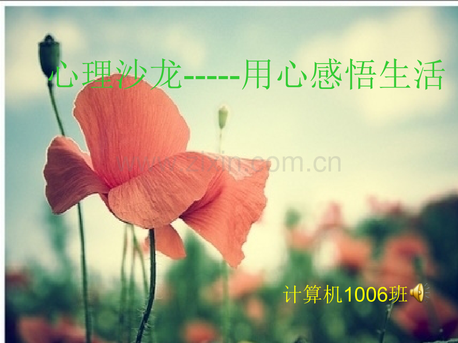 班会用心感悟生活.pptx_第1页
