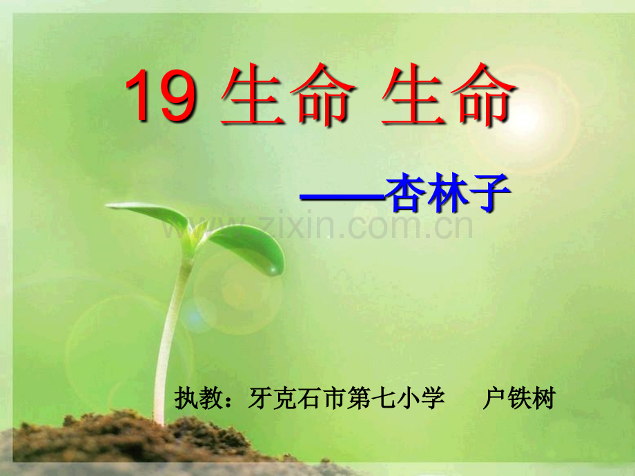 生命生命户铁树.pptx_第1页