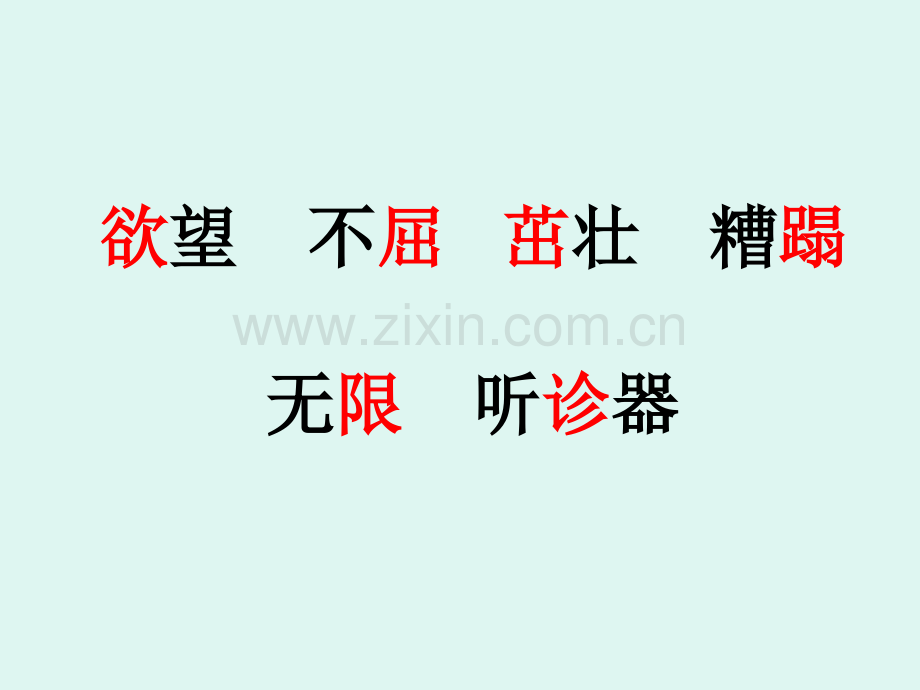 生命生命户铁树.pptx_第2页