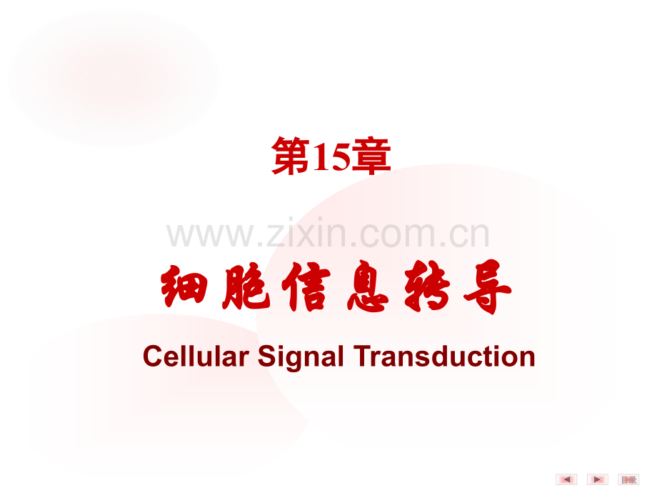 第6十五章细胞信息转导.pptx_第1页