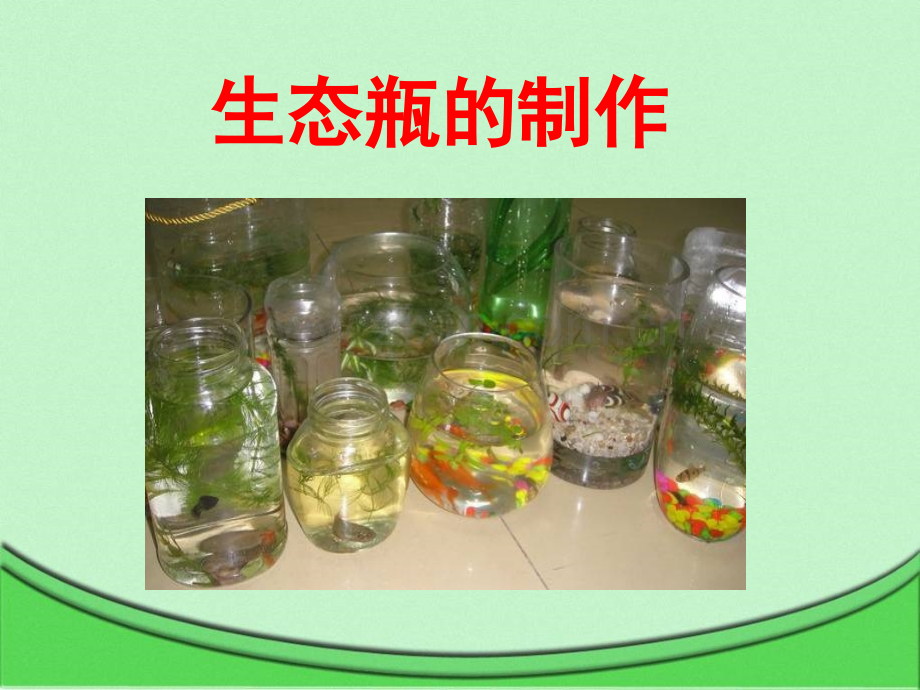 生态瓶制作.pptx_第1页