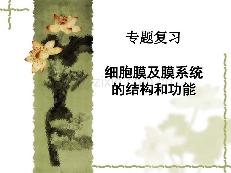细胞膜及膜系统的结构和功能全解.pptx_第1页