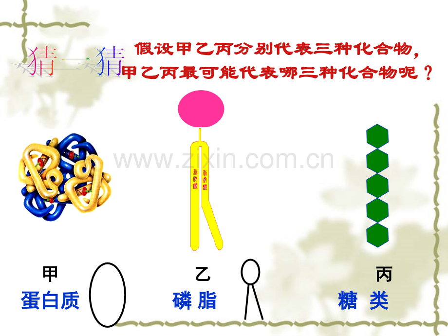 细胞膜及膜系统的结构和功能全解.pptx_第2页