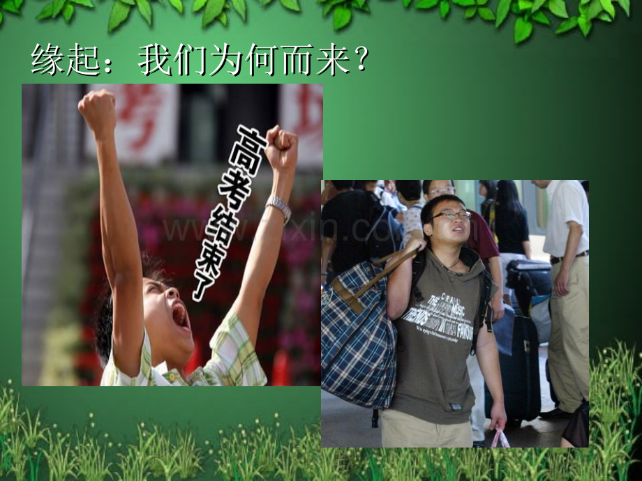 构建和谐宿舍人际关系.pptx_第2页